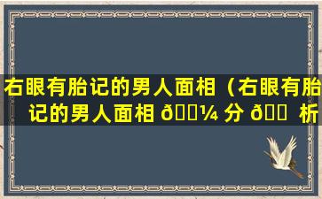 右眼有胎记的男人面相（右眼有胎记的男人面相 🐼 分 🐠 析）